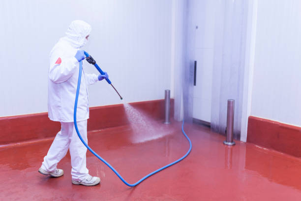 Best Restaurant Pressure Washing  in Funny River, AK